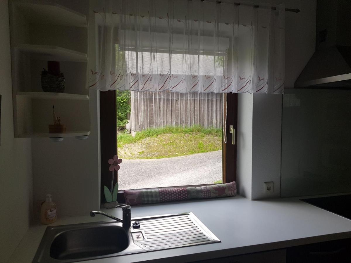 Appartement Muehlebnerhof Ramsau am Dachstein Εξωτερικό φωτογραφία