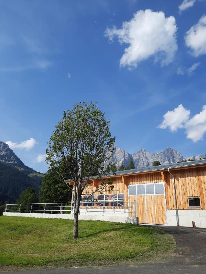 Appartement Muehlebnerhof Ramsau am Dachstein Εξωτερικό φωτογραφία