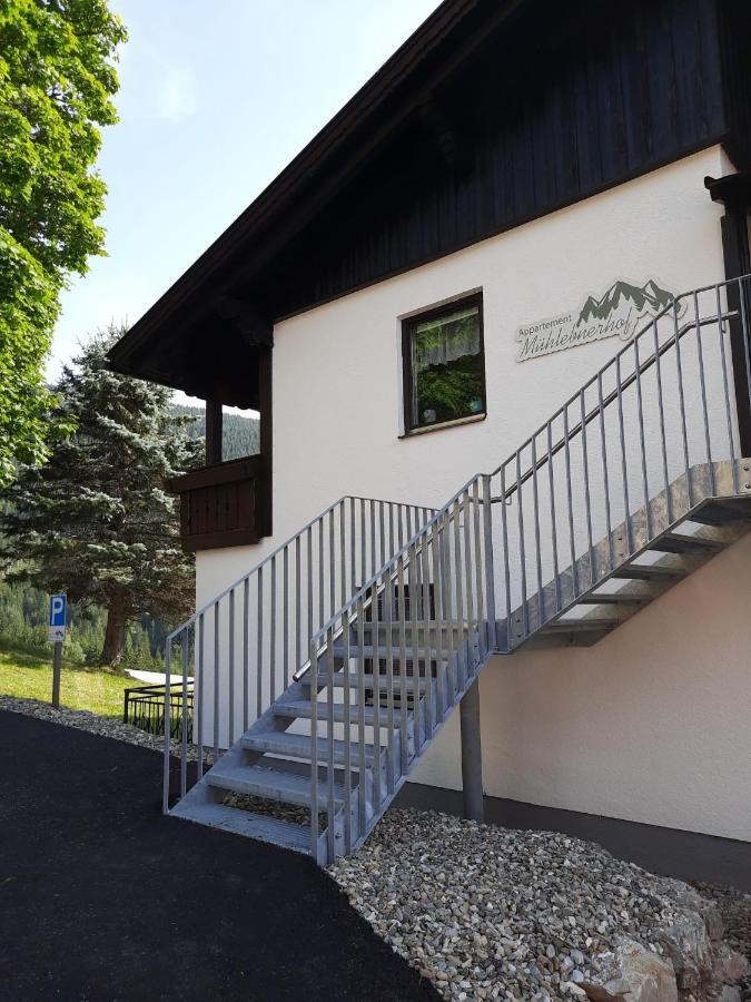 Appartement Muehlebnerhof Ramsau am Dachstein Εξωτερικό φωτογραφία