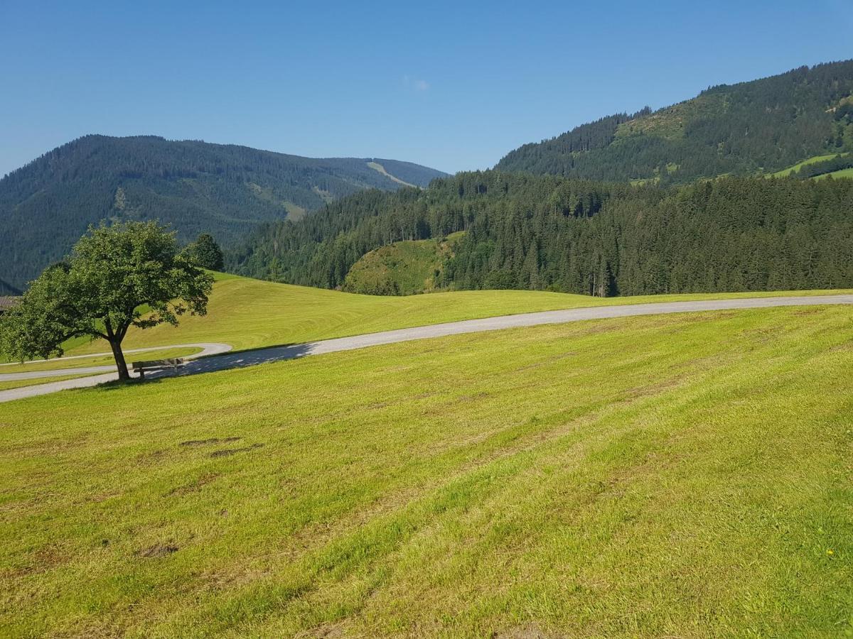 Appartement Muehlebnerhof Ramsau am Dachstein Εξωτερικό φωτογραφία
