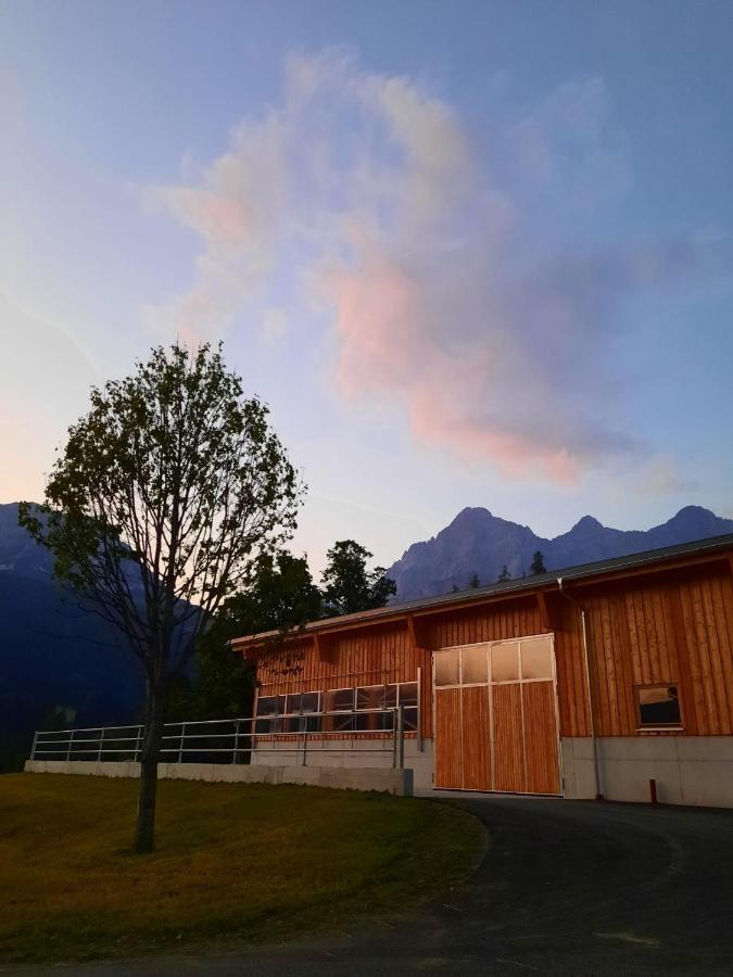 Appartement Muehlebnerhof Ramsau am Dachstein Εξωτερικό φωτογραφία