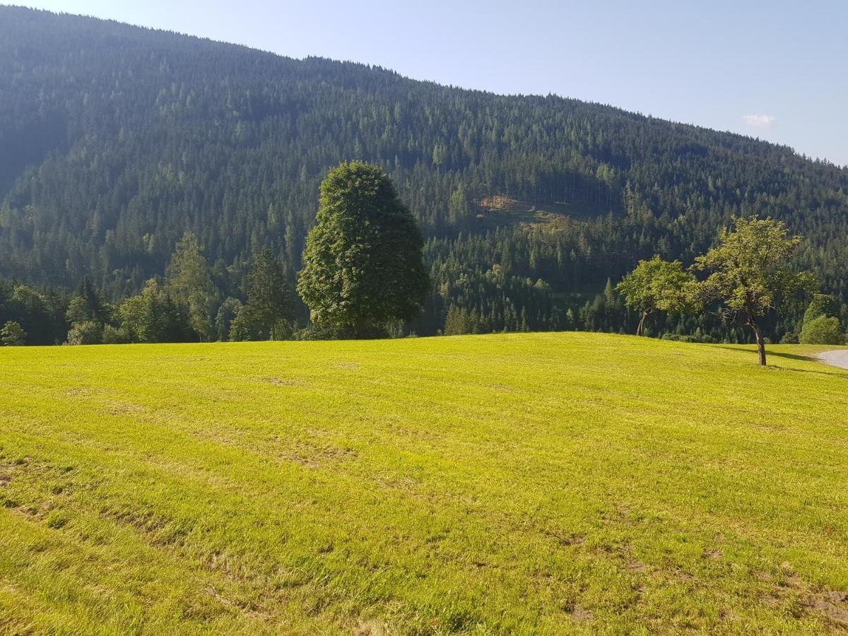 Appartement Muehlebnerhof Ramsau am Dachstein Εξωτερικό φωτογραφία