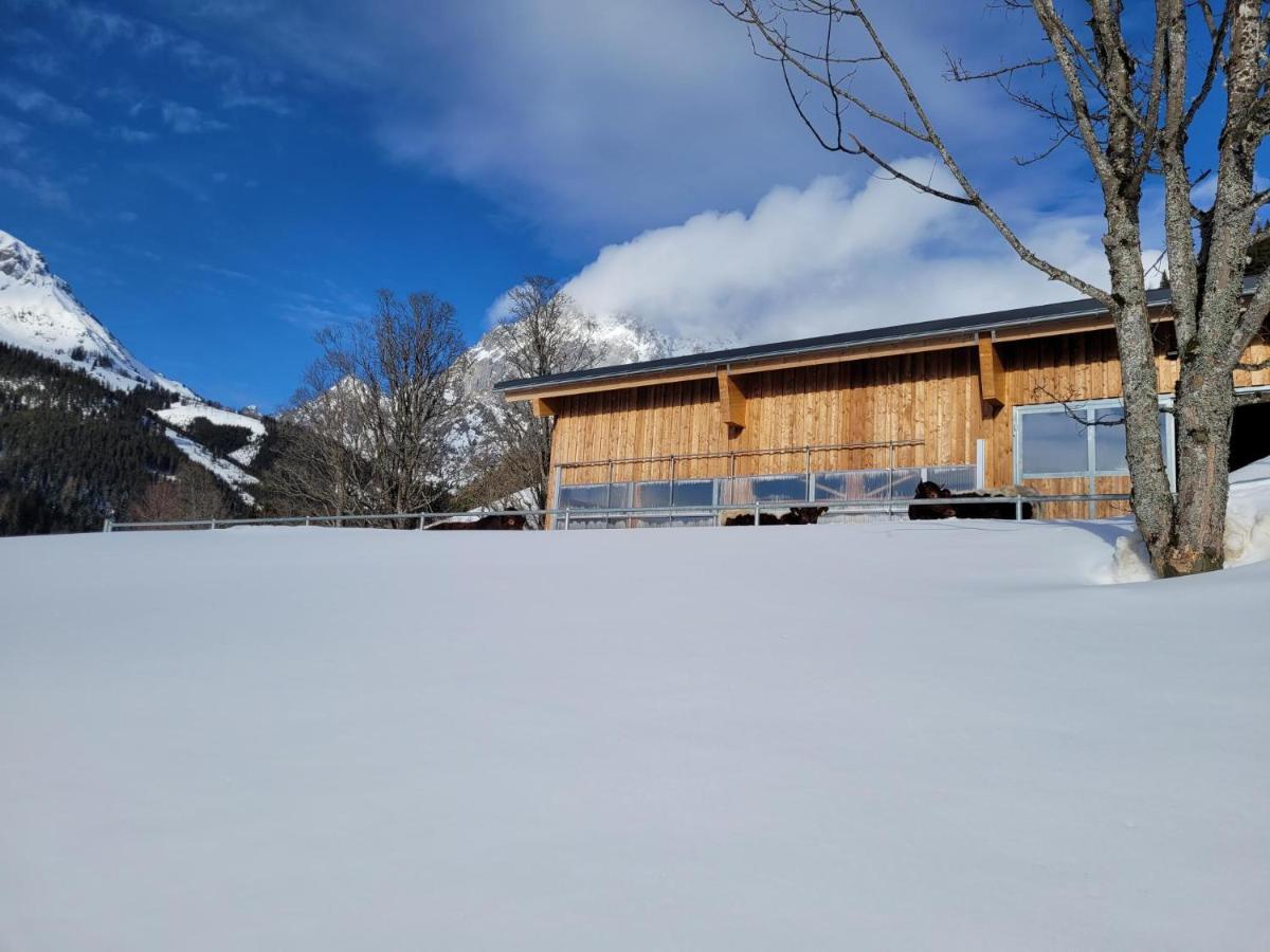 Appartement Muehlebnerhof Ramsau am Dachstein Εξωτερικό φωτογραφία