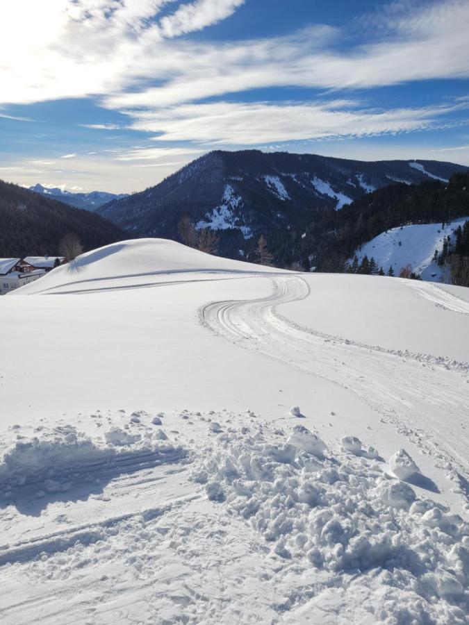 Appartement Muehlebnerhof Ramsau am Dachstein Εξωτερικό φωτογραφία
